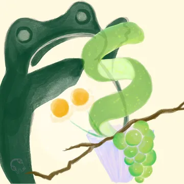 Hydrangea Coffee bag for Pepe Jijon Anaerobic Sidra with colorful frog illustration